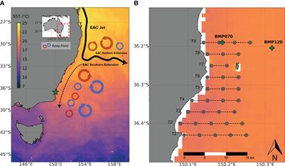 Coastal seascape variability in the intensifying East Australian Current Southern Extension